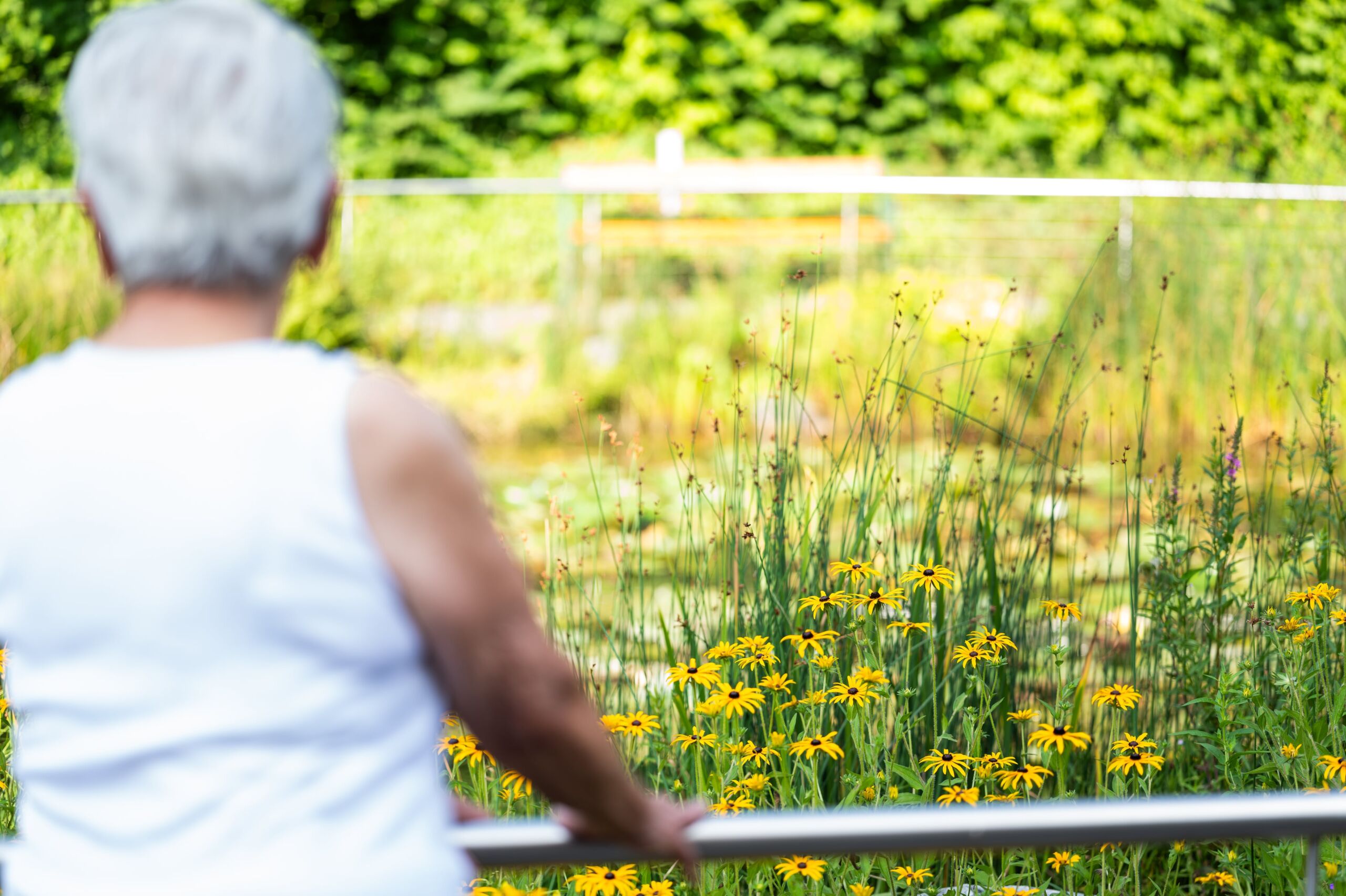 Bewohnerin blickt auf Garten Bewohnerin blickt auf Garten