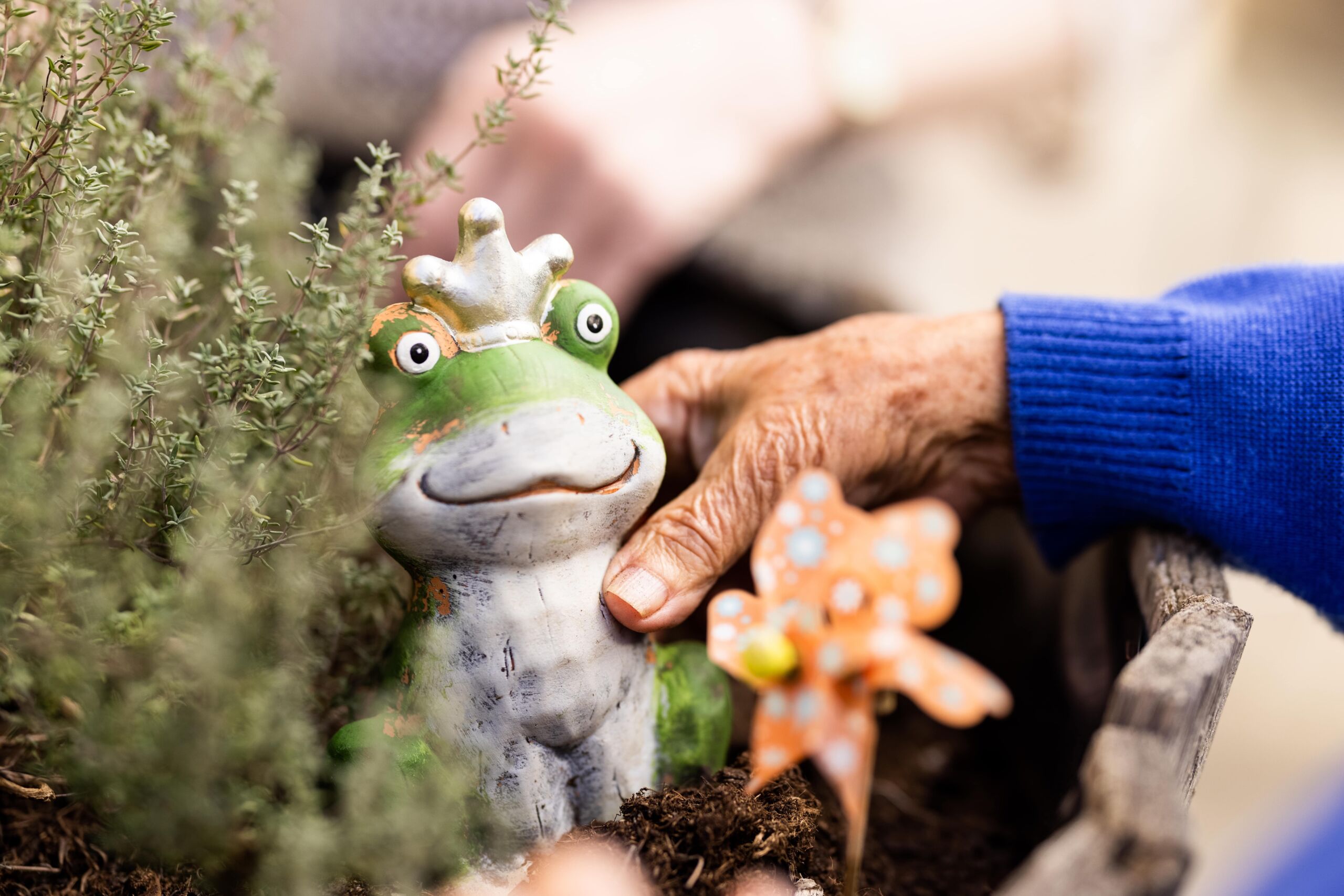 Froschkoenig mit Seniorenhaenden scaled