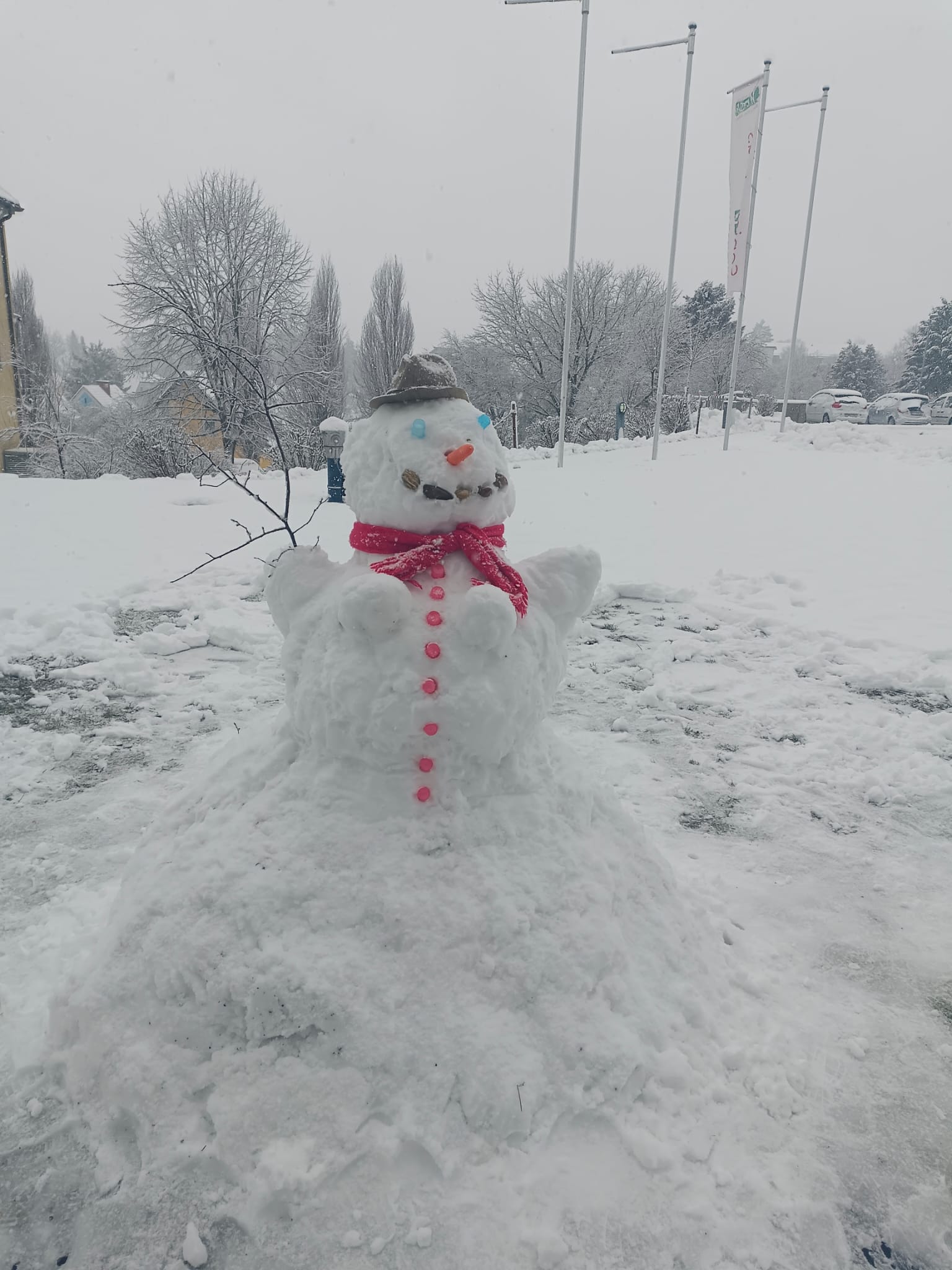 WhatsApp Image 2026 02 20 at 12.27.46