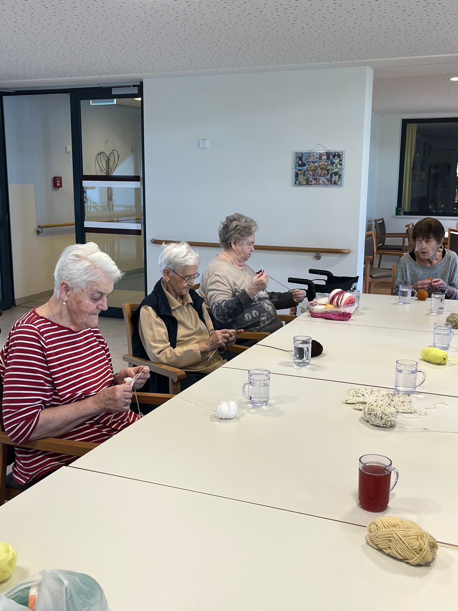 WhatsApp Image 2026 02 20 at 12.32.39 1