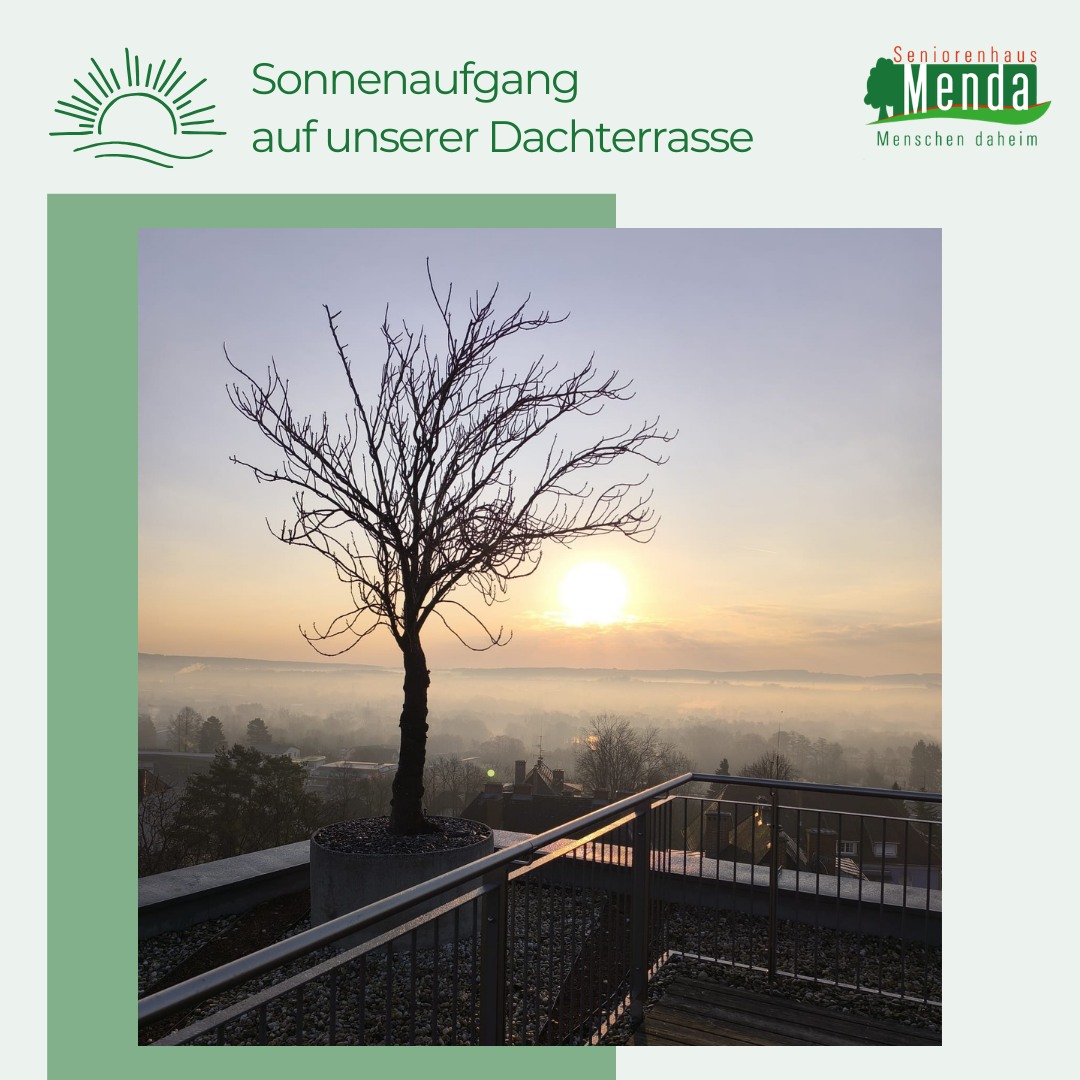 Unsere Dachterrasse im goldenen Sonnenstrahl