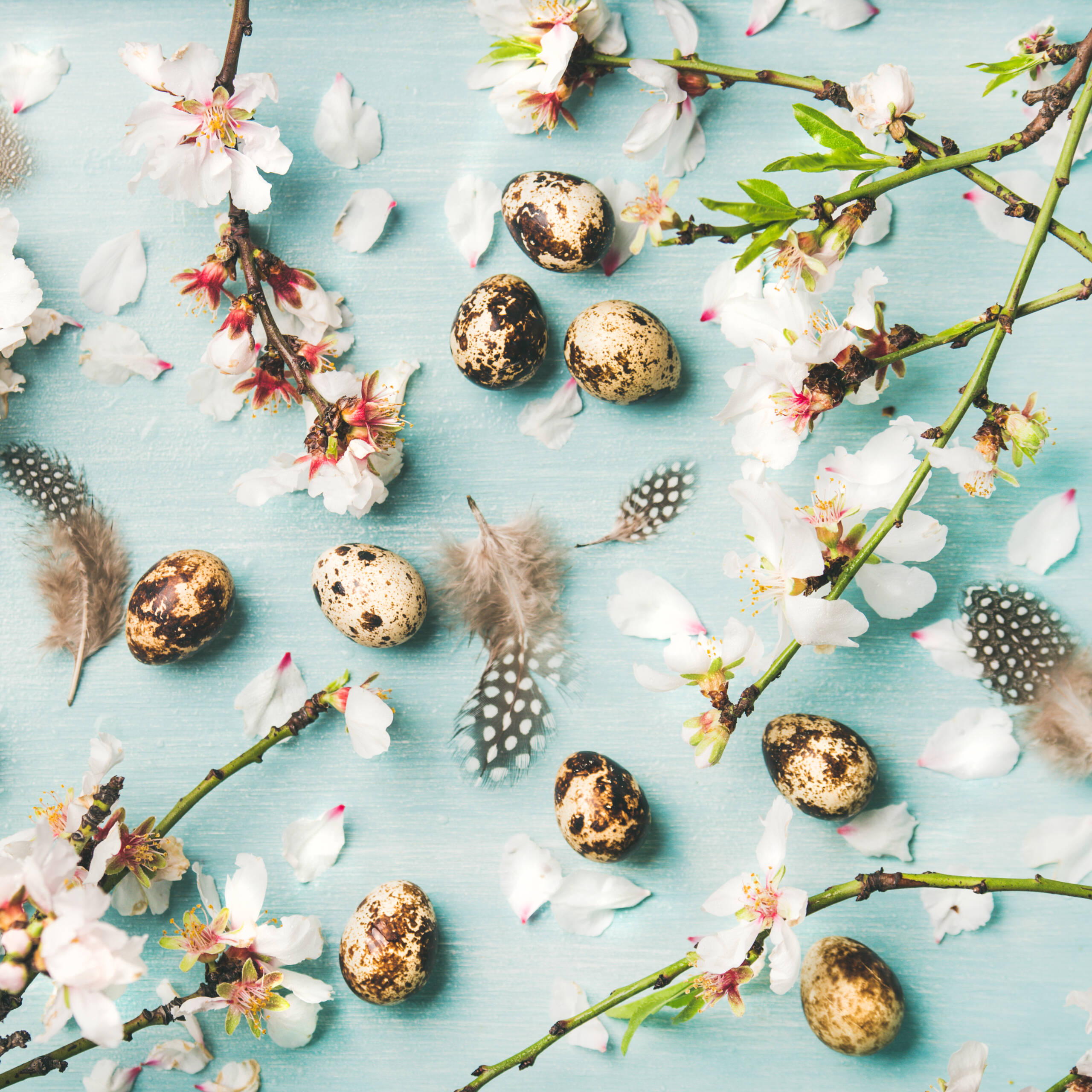 easter background with eggs and almond blossom flo 2026 03 09 22 07 14 utc scaled