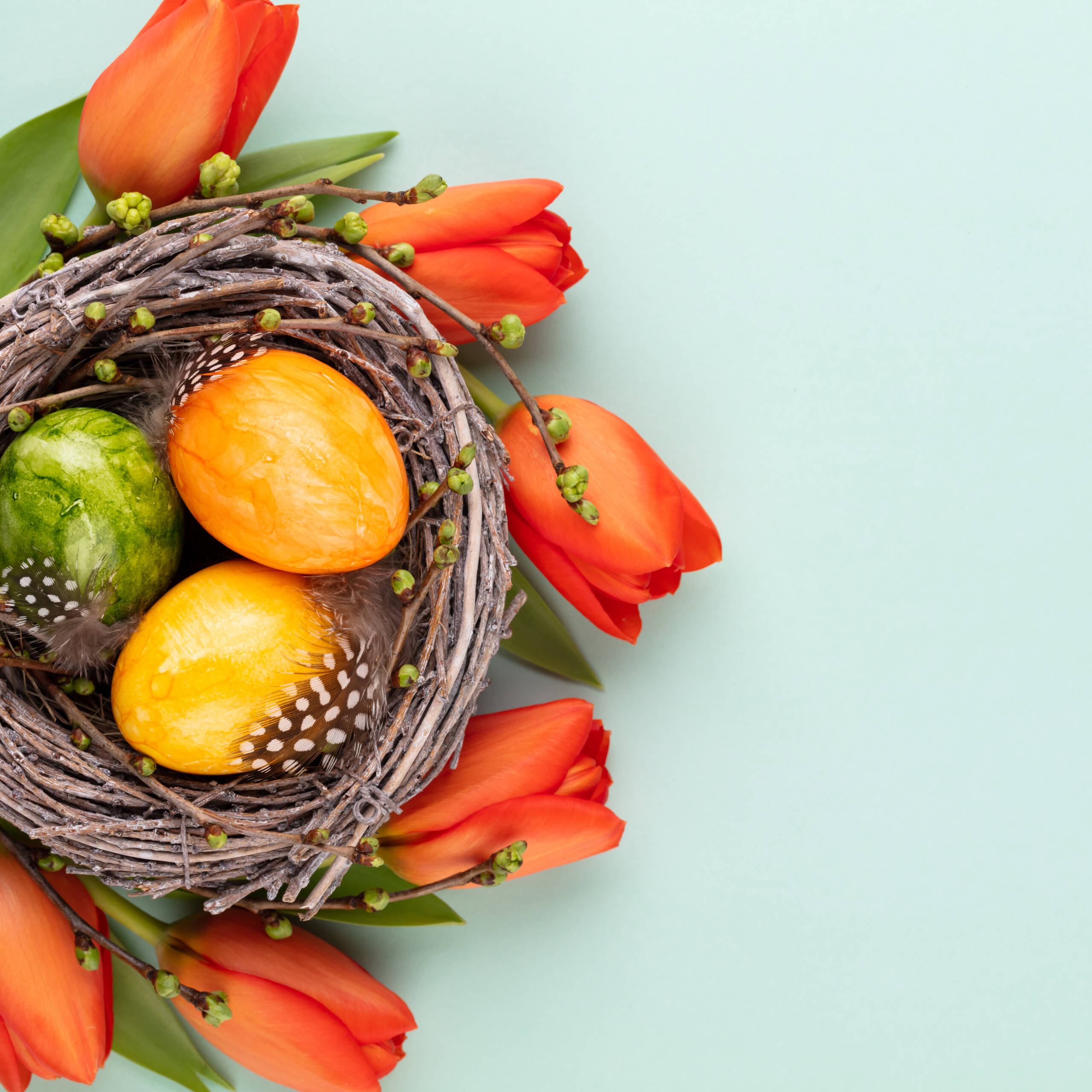 easter eggs in the nest spring greeting card 2026 01 07 23 59 04 utc scaled