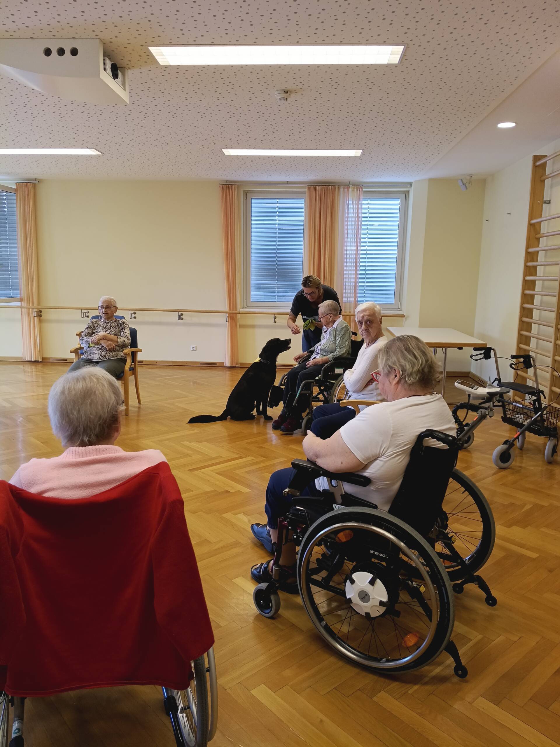 Therapiehund Buddy zu Besuch – Wenn ein Hund Herzen berührt 3 Bewohnerinnen sitzen im Kreis und erleben gemeinsam den Besuch des Therapiehundes Buddy im Seniorenhaus Menda.