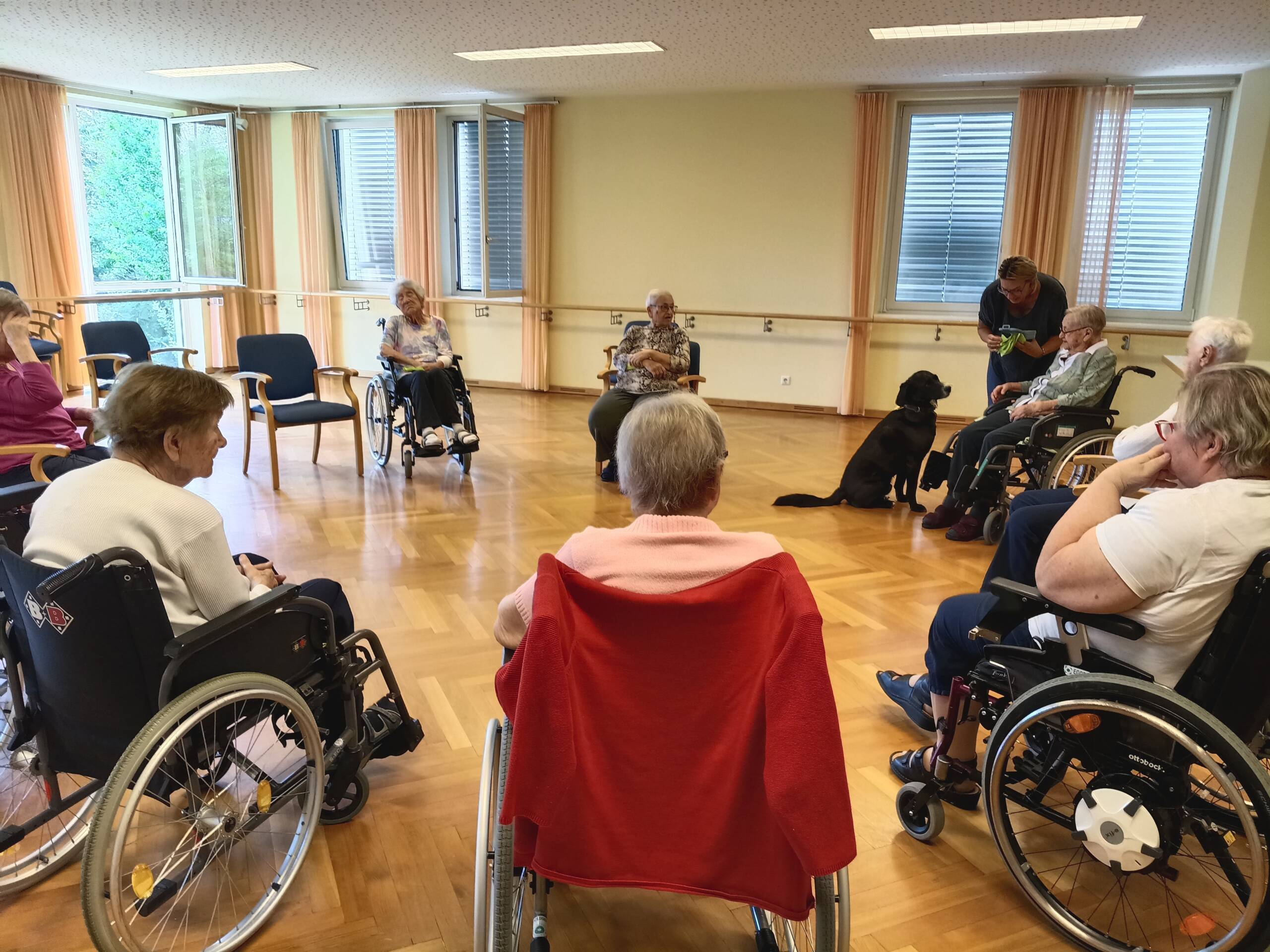 Therapiehund Buddy zu Besuch – Wenn ein Hund Herzen berührt 4 Therapiehund Buddy besucht eine Bewohnerin und sorgt mit seiner ruhigen Art für einen besonderen Begegnungsmoment.