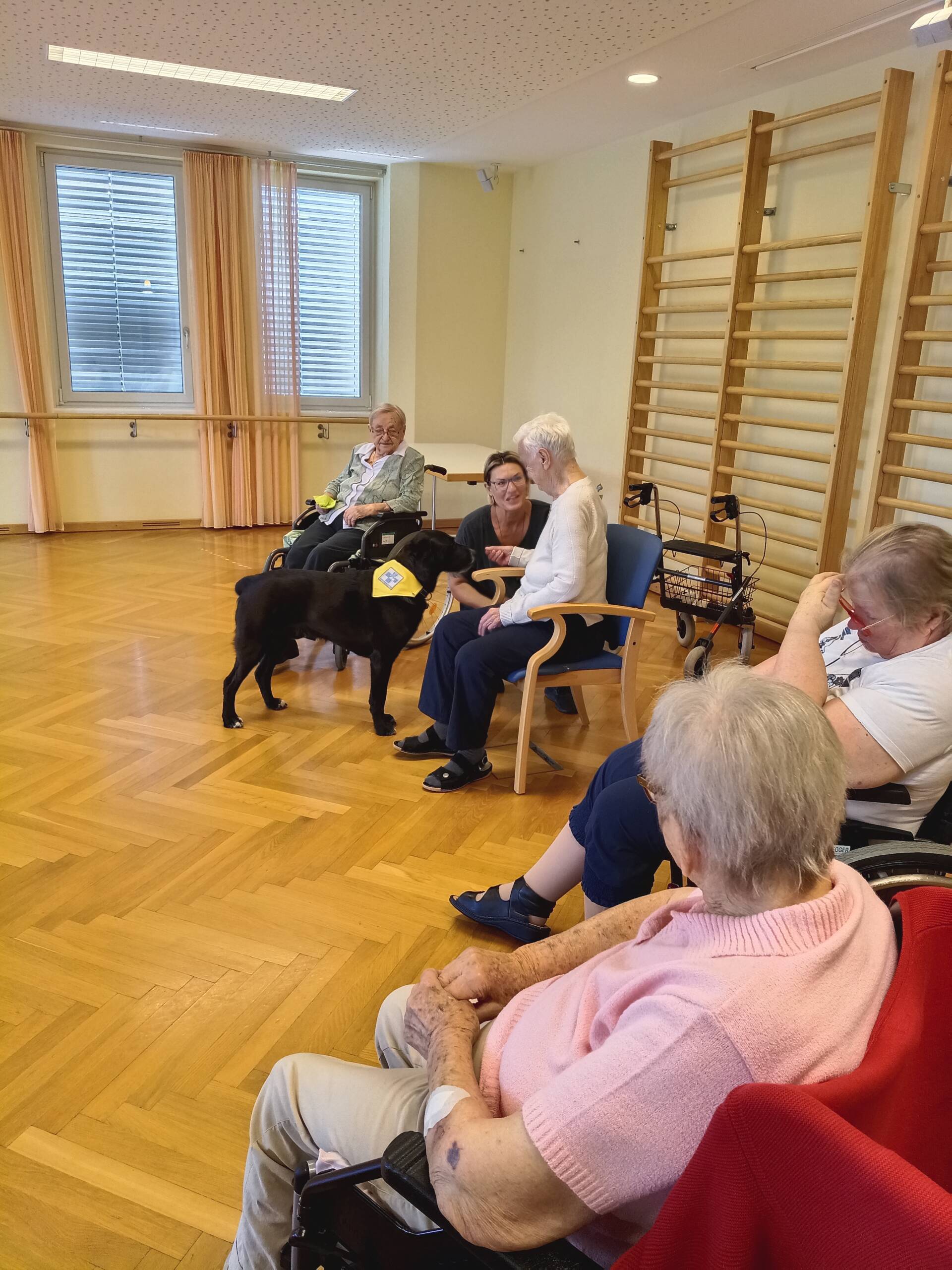 Therapiehund Buddy zu Besuch – Wenn ein Hund Herzen berührt 5 Therapiehund Buddy sitzt aufmerksam in der Mitte einer Gruppe von Bewohnerinnen während einer tiergestützten Therapie.