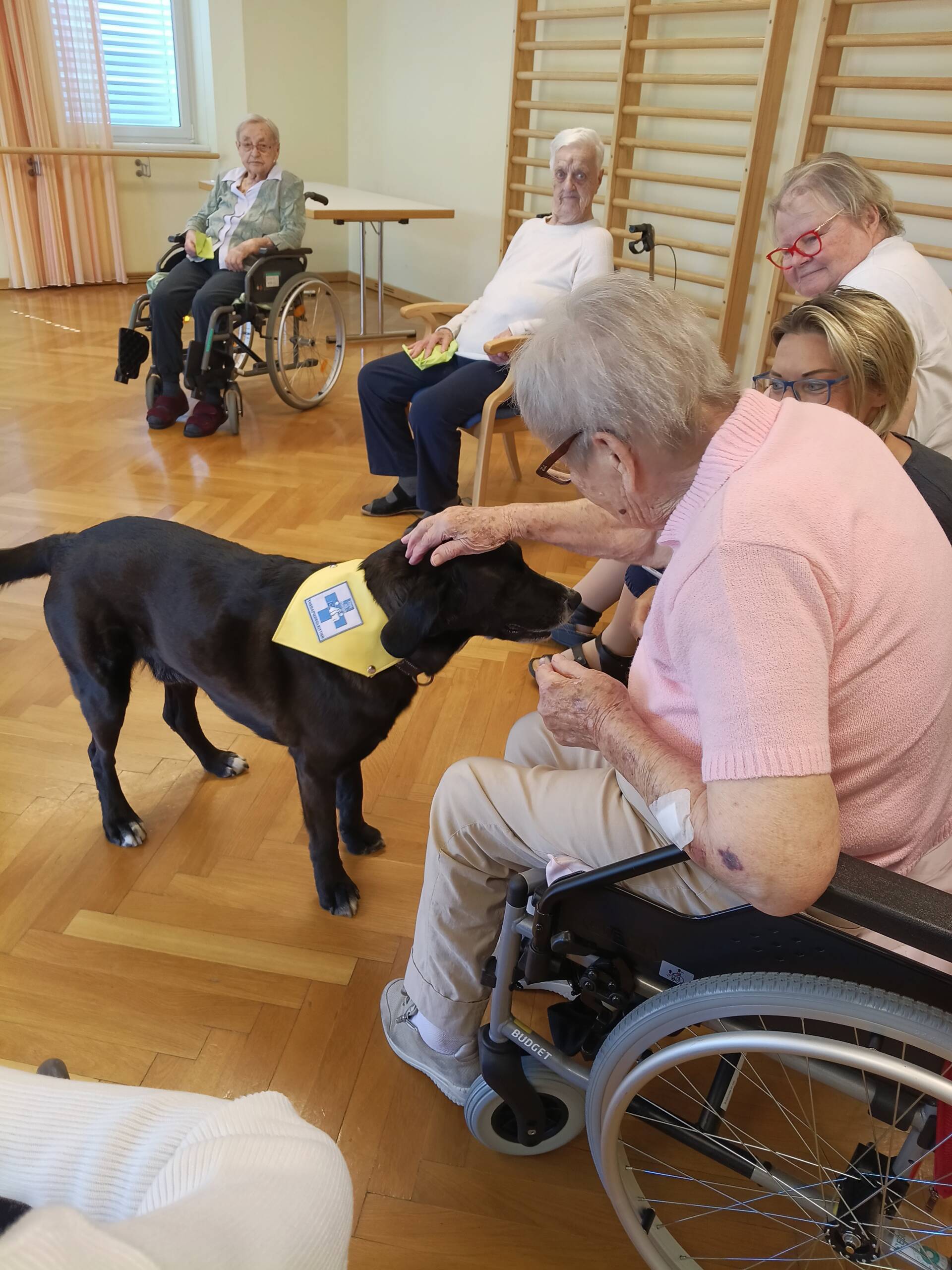 Therapiehund Buddy zu Besuch – Wenn ein Hund Herzen berührt 7 Eine Bewohnerin streichelt Therapiehund Buddy liebevoll während einer tiergestützten Therapie im Seniorenhaus Menda.