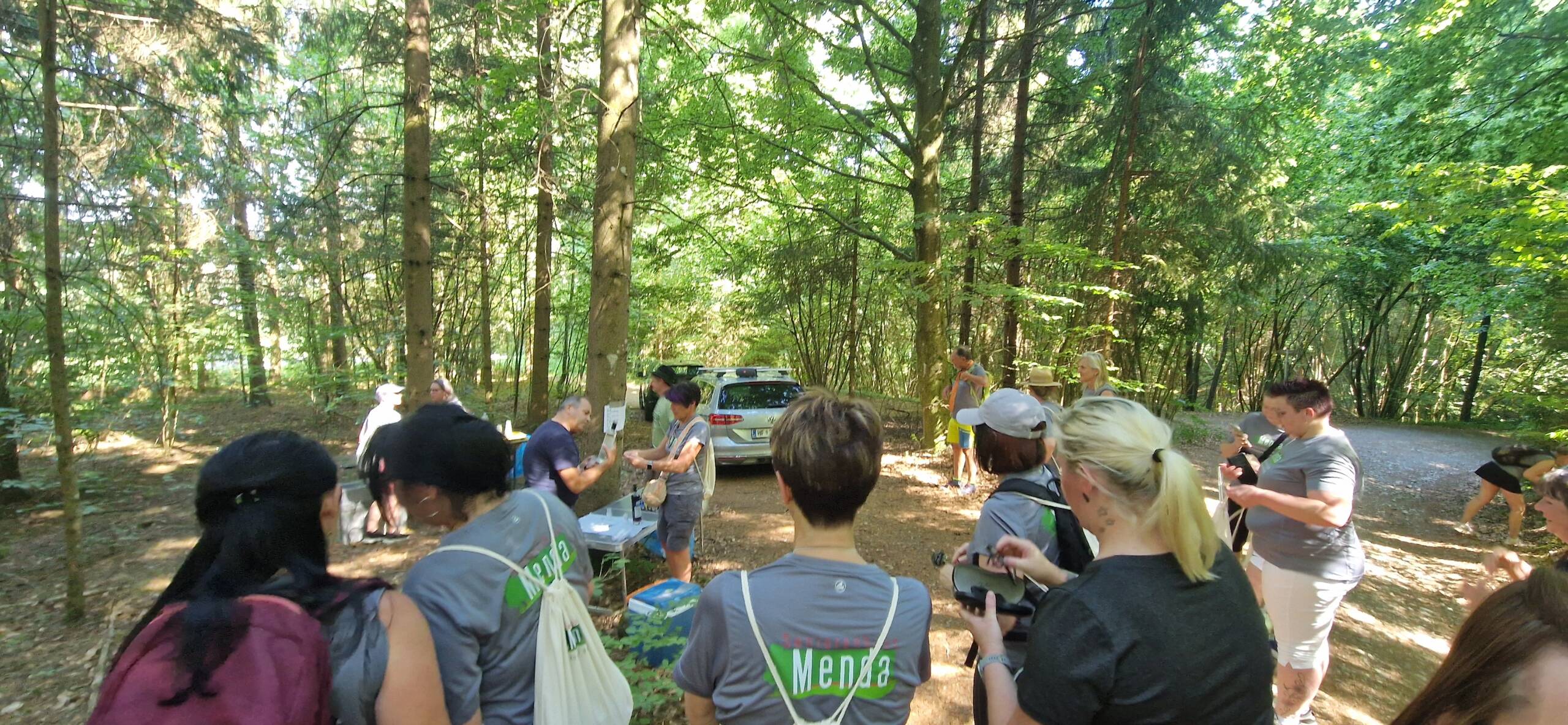 Genusstourwanderung – Bewegung, Natur und Gemeinschaft 4 Wandergruppe auf einem Waldweg während einer naturpädagogischen Führung im Mischwald.